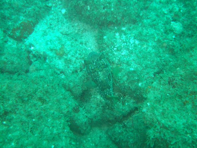 dscf0348.jpg