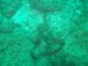 dscf0348_small.jpg
