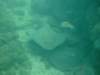 dscf0349_small.jpg