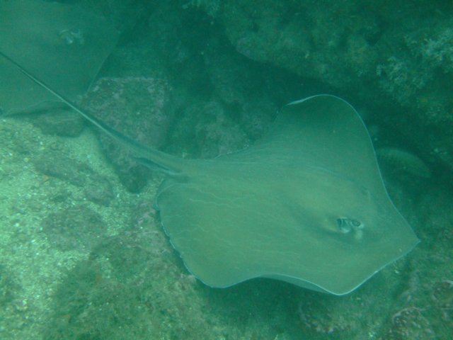 dscf0350.jpg