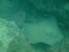 dscf0350_small.jpg