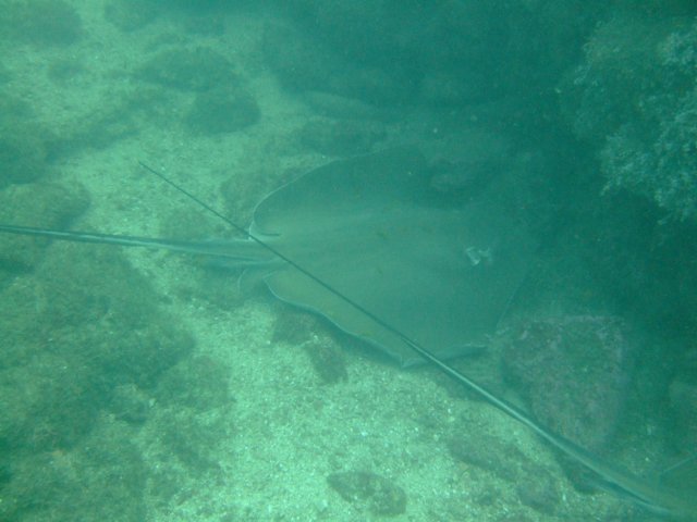 dscf0352.jpg