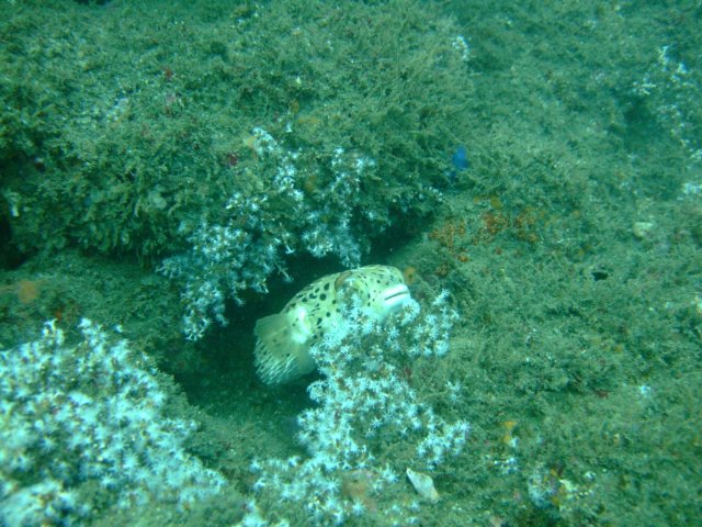 dscf0355.jpg