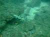 dscf0357_small.jpg