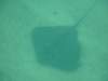 dscf0361_small.jpg