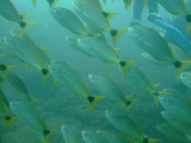 dscf0362.jpg