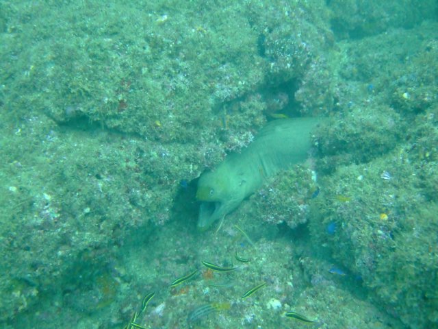 dscf0368.jpg