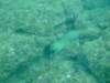 dscf0368_small.jpg