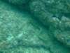 dscf0371_small.jpg