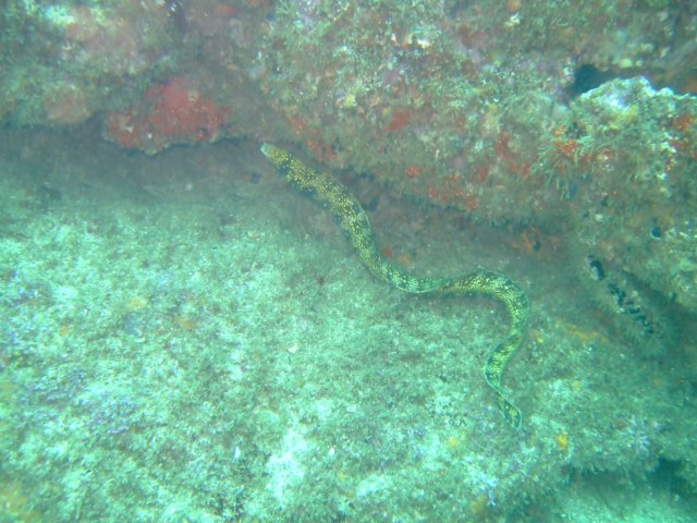 dscf0372.jpg