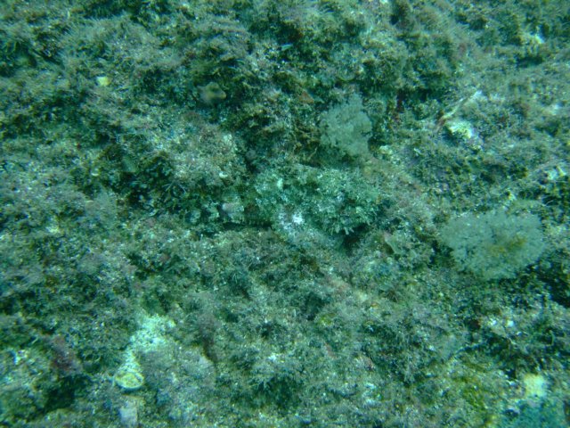 dscf0378.jpg