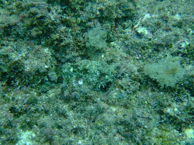 dscf0380.jpg