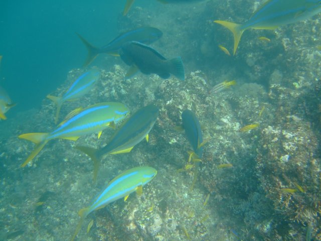 dscf0389.jpg