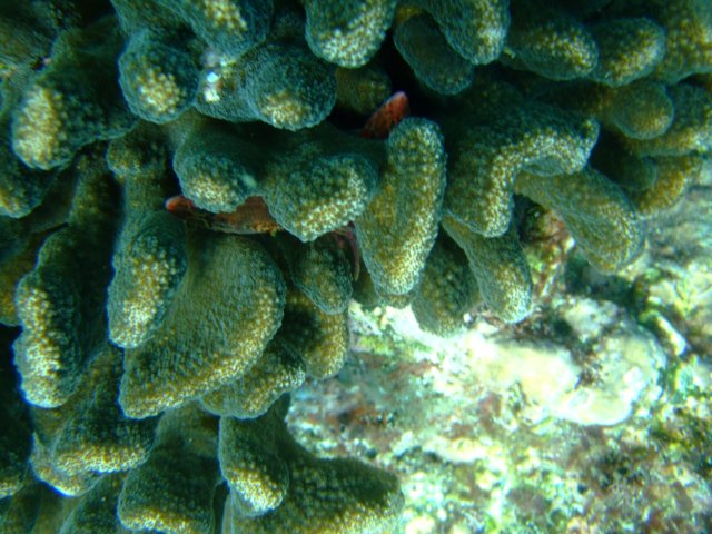 dscf0393.jpg