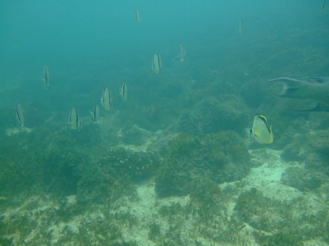 dscf0426.jpg