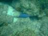 dscf0438_small.jpg