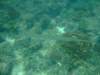 dscf0439_small.jpg