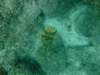 dscf0447_small.jpg