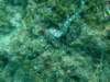 dscf0451_small.jpg