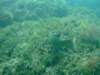 dscf0453_small.jpg