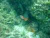 dscf0457_small.jpg