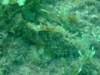 dscf0459_small.jpg
