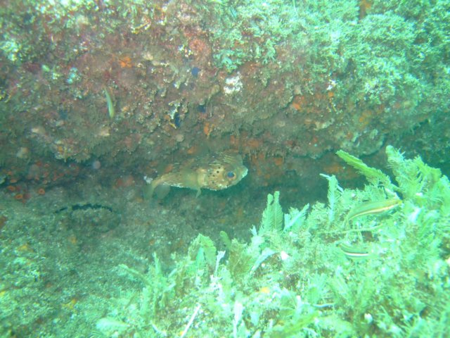 dscf0482.jpg