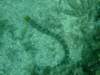 dscf0489_small.jpg