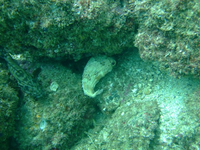 dscf0490.jpg