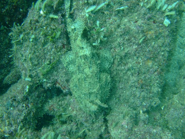 dscf0505.jpg