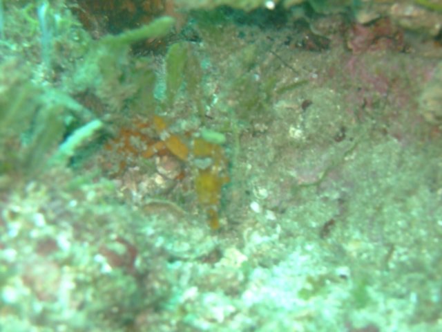 dscf0517.jpg