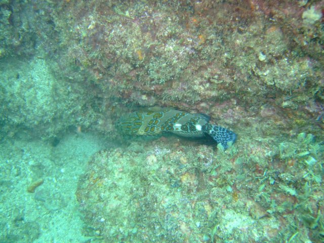 dscf0522.jpg