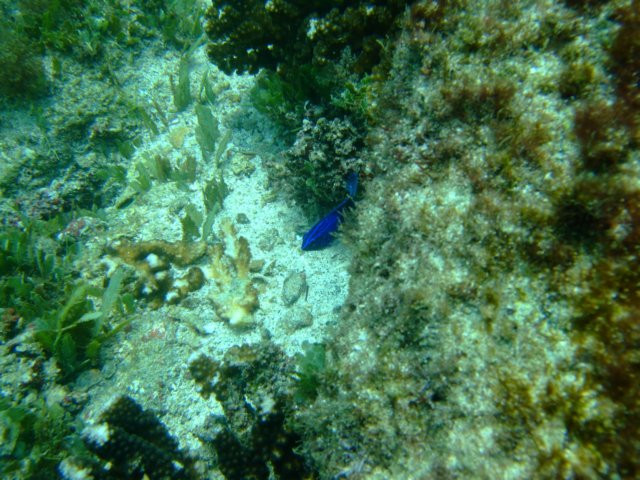 dscf0532.jpg