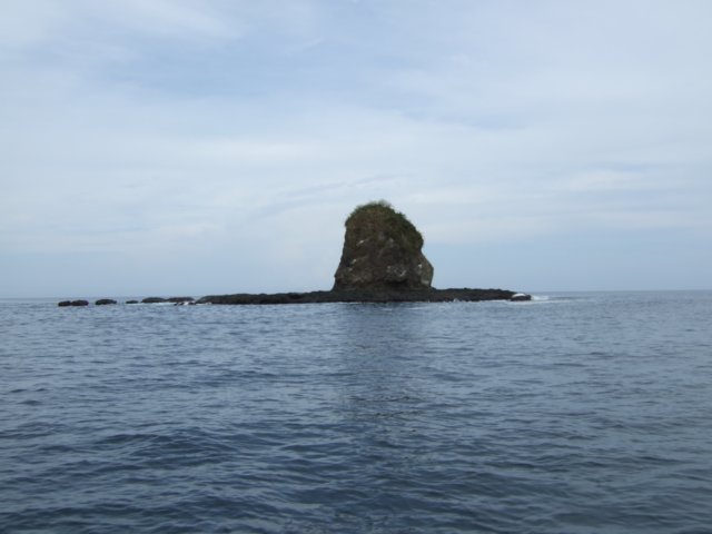 dscf0549.jpg