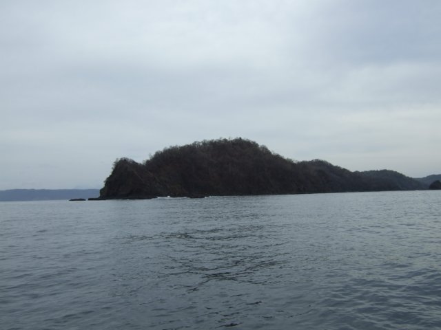 dscf0554.jpg