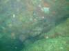 dscf0566_small.jpg