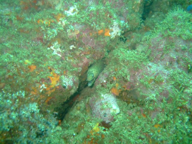 dscf0569.jpg
