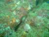 dscf0569_small.jpg