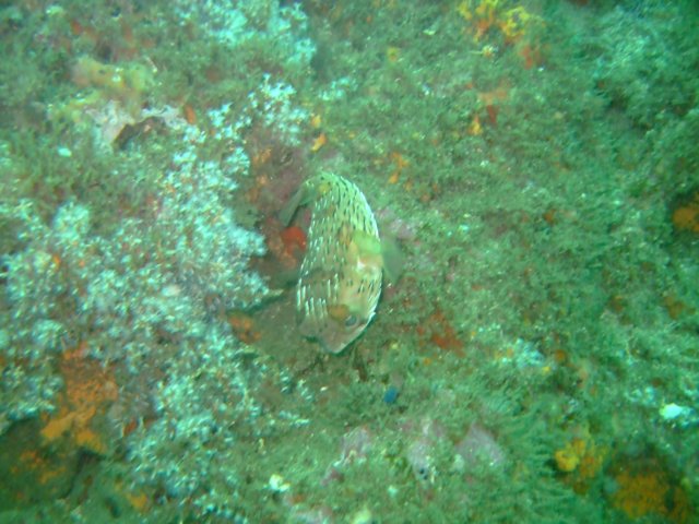 dscf0571.jpg