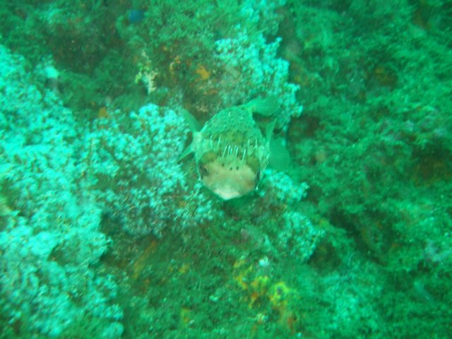 dscf0573.jpg