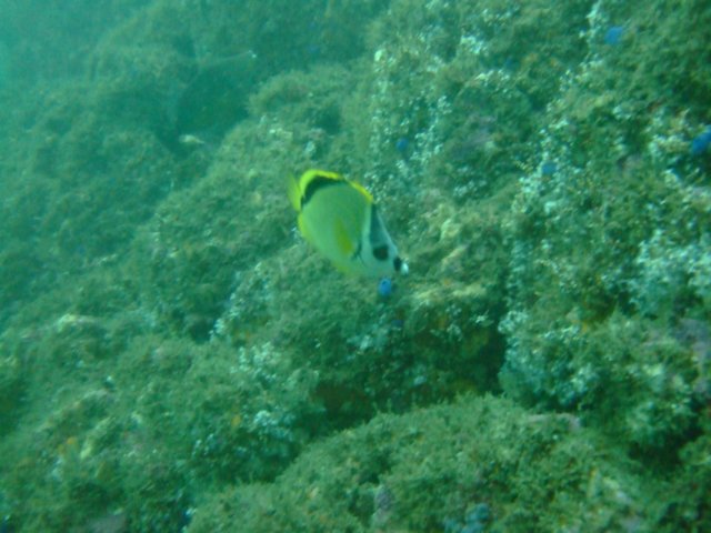 dscf0575.jpg