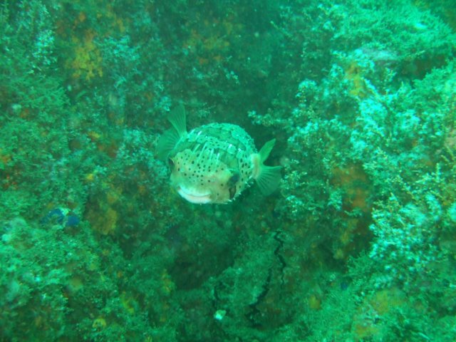dscf0577.jpg