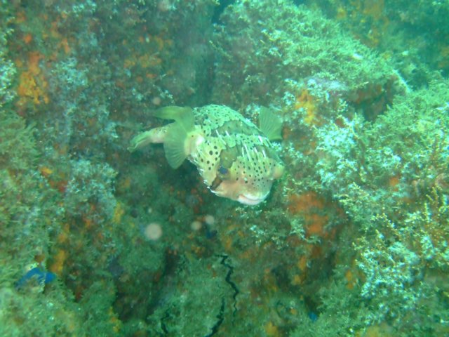 dscf0578.jpg