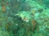 dscf0578_small.jpg