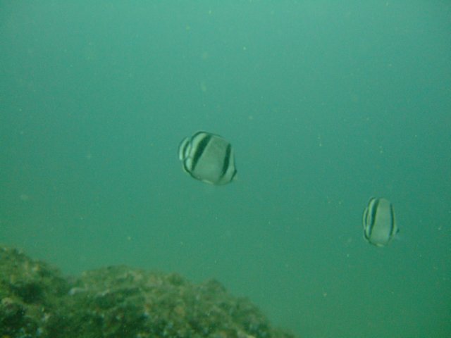 dscf0581.jpg