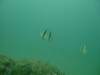 dscf0581_small.jpg