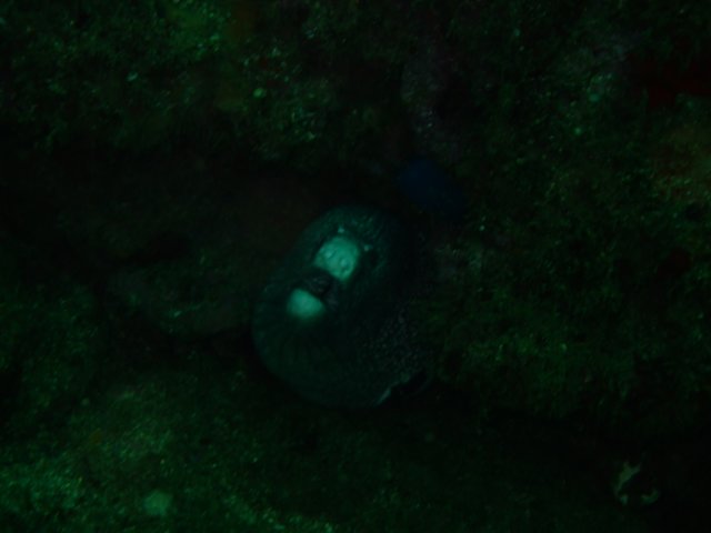 dscf0586.jpg