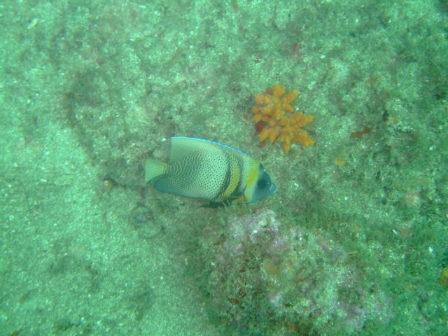 dscf0591.jpg