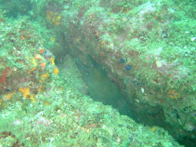 dscf0602.jpg