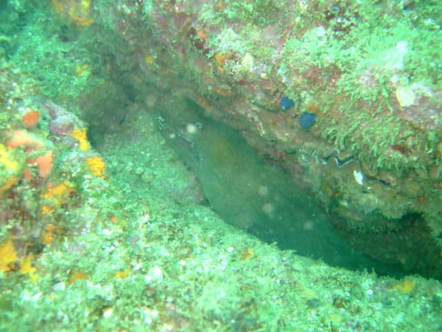 dscf0603.jpg